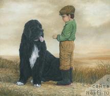 Фотография № 10831