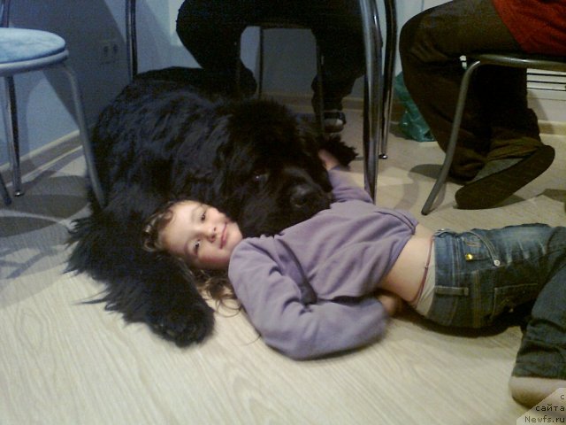 Фотография № 108385