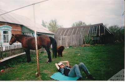 Фото: ньюфаундленд Грэм Алриф Ботсвейн, Евгений Ненаглядов