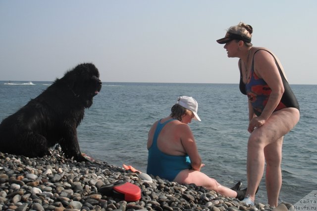 Фотография № 108395