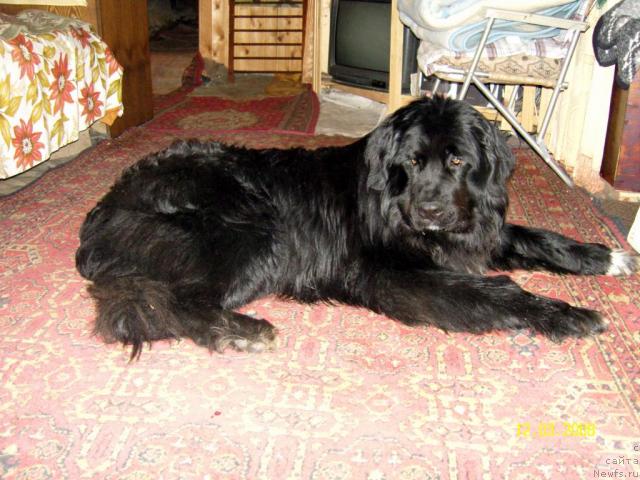 Фото: Ж Флагман из 