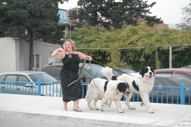 Фотография № 108402