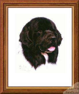 Фотография № 10841