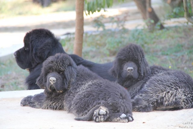 Фотография № 108416