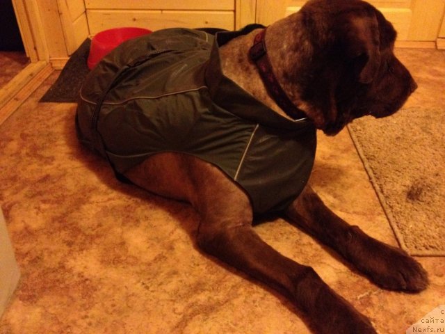 Фотография № 108444