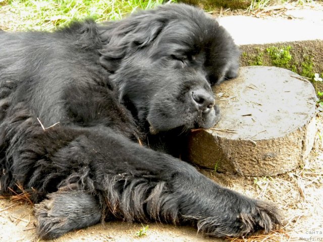 Фотография № 108463