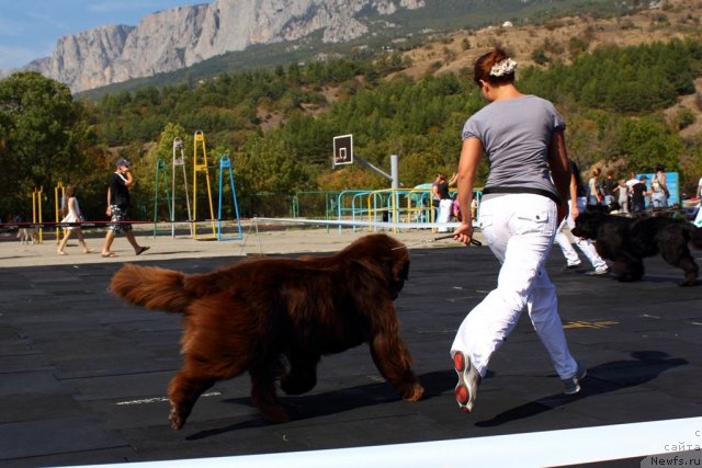 Фотография № 108464