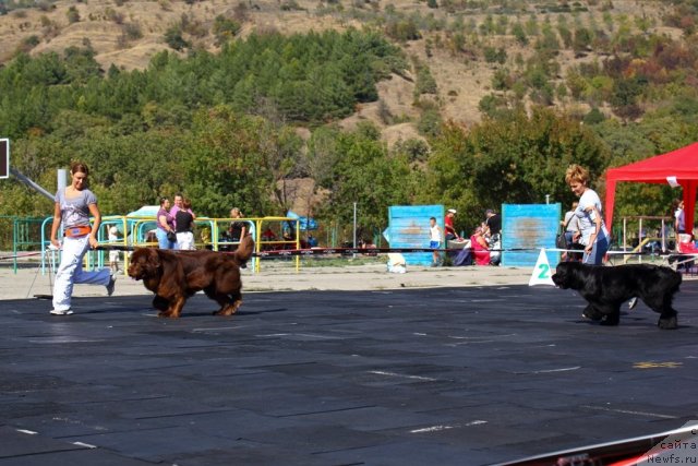 Фотография № 108467