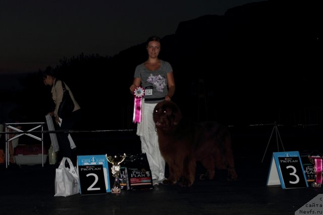 Фотография № 108469