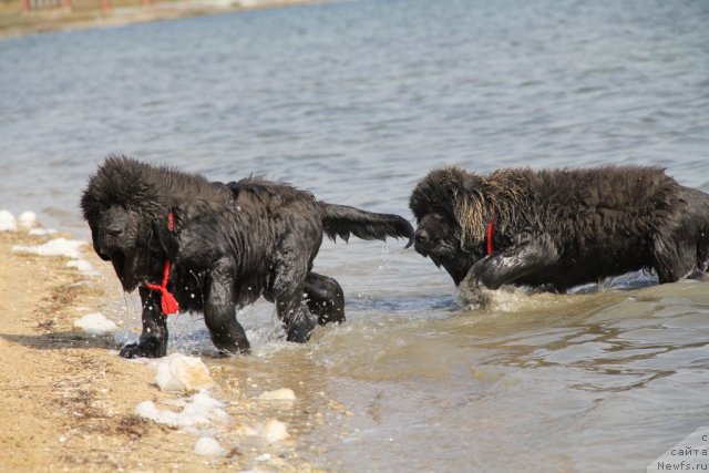 Фотография № 108475