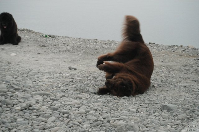 Фотография № 108492