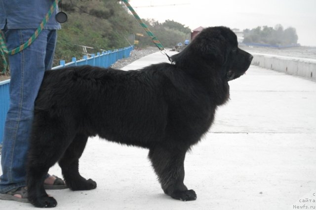 Фотография № 108493