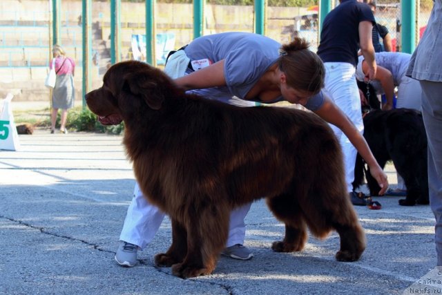 Фотография № 108495