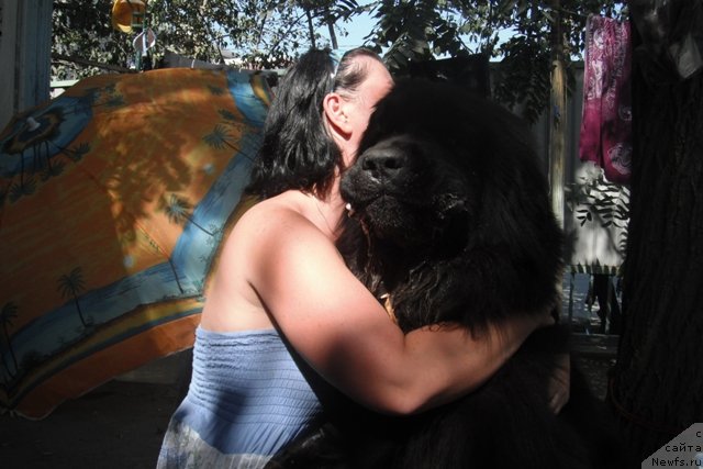 Фотография № 108496