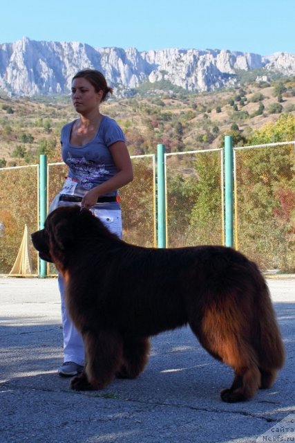 Фотография № 108497