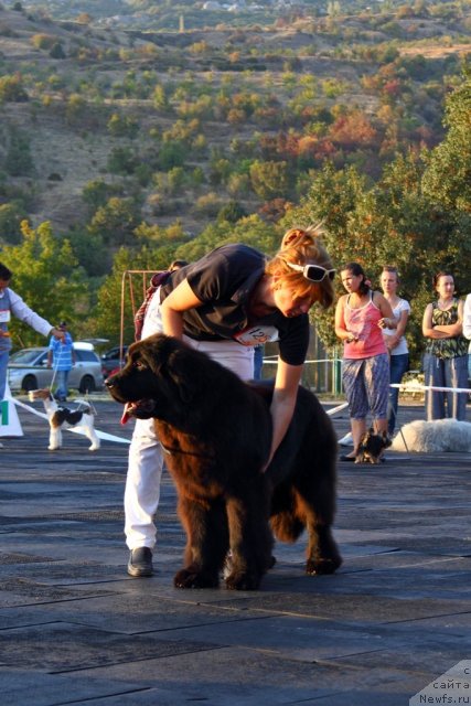 Фотография № 108500