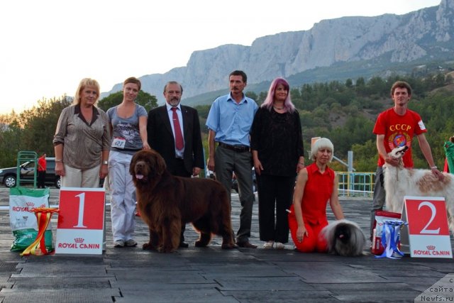 Фотография № 108505