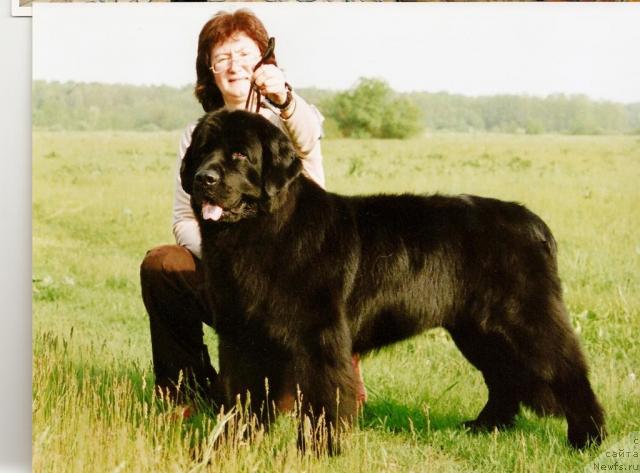 Фотография № 10851