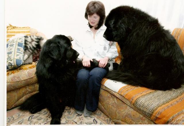 Фото: Лада Павликовская