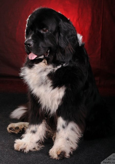 Фотография № 108529