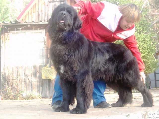 Фотография № 108555