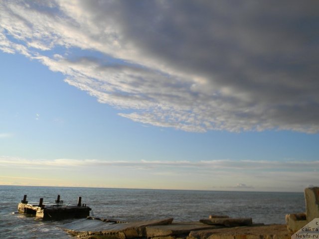 Фотография № 108571