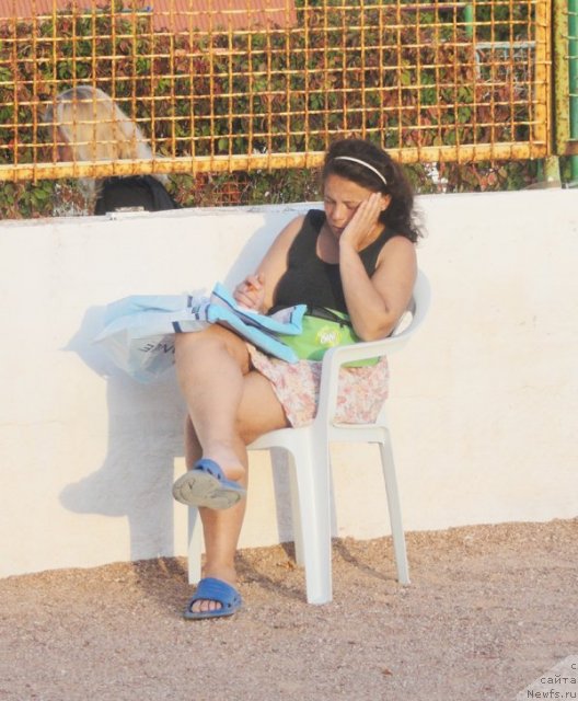 Фотография № 108603