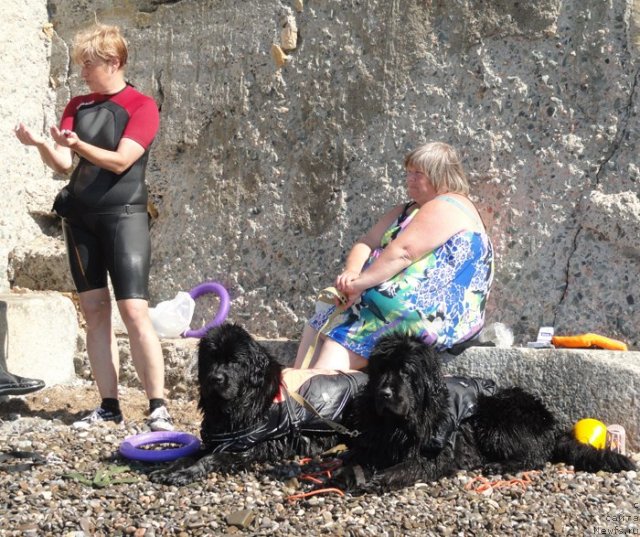 Фотография № 108616