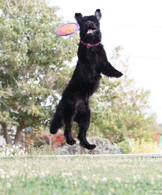 Фотография № 108623