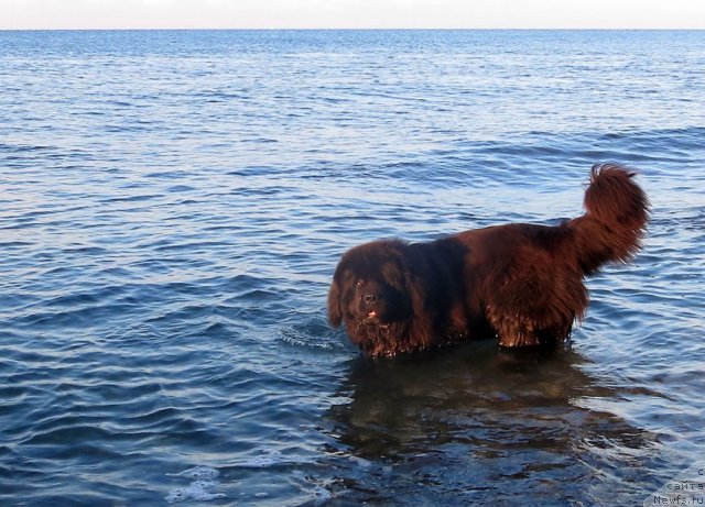 Фотография № 108685