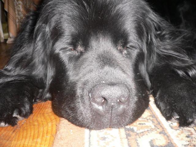 Фото: Глафира Косковецкая