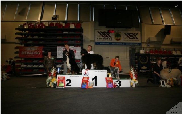 Фотография № 108805