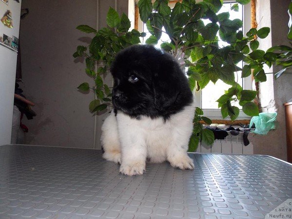 Фото: Наталья Беляева