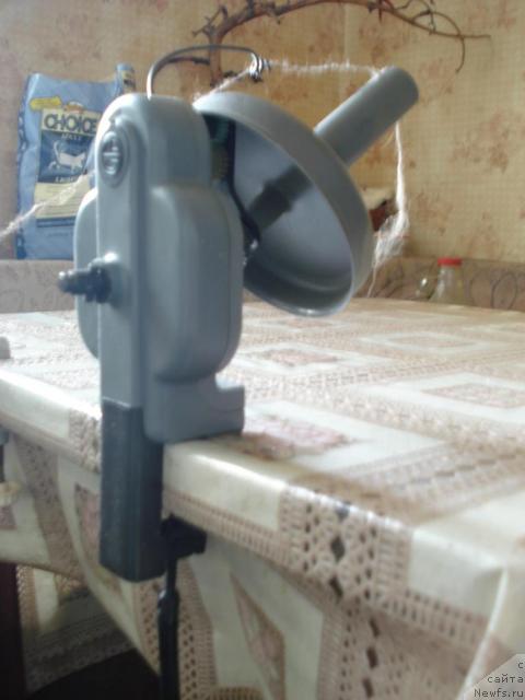 Фотография № 10881