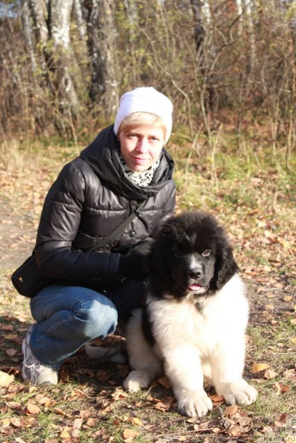 Фотография № 108818