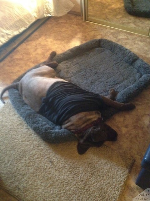 Фотография № 108819