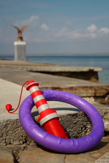 Фотография № 108826