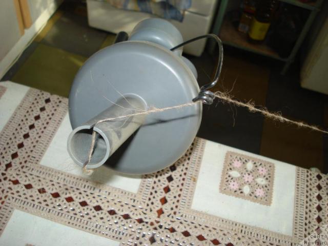 Фотография № 10884