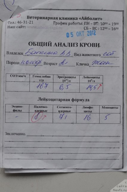 Фотография № 108861