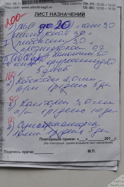 Фотография № 108866