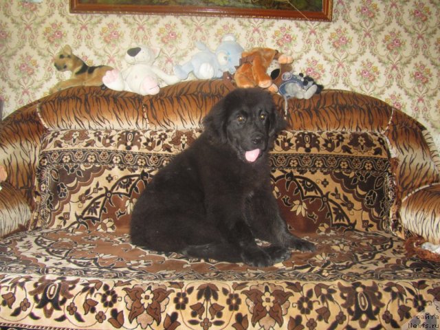 Фото: Наталья Баканова