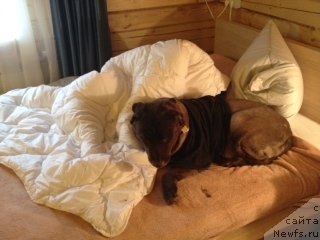 Фотография № 108930