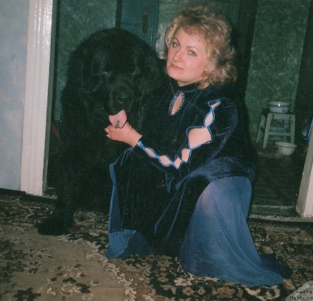 Фотография № 108955