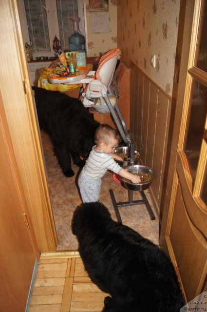 Фотография № 108991