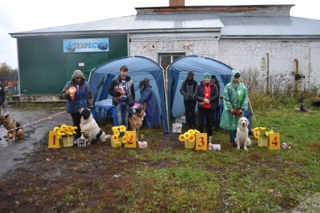 Фотография № 108997