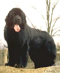 Фотография № 1090