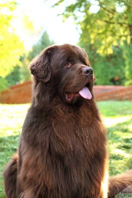 Фотография № 109001