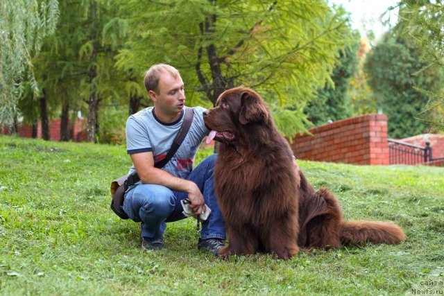 Фотография № 109002