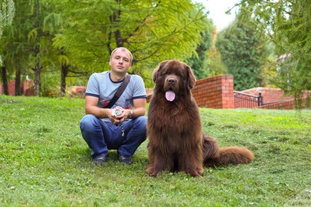 Фотография № 109003