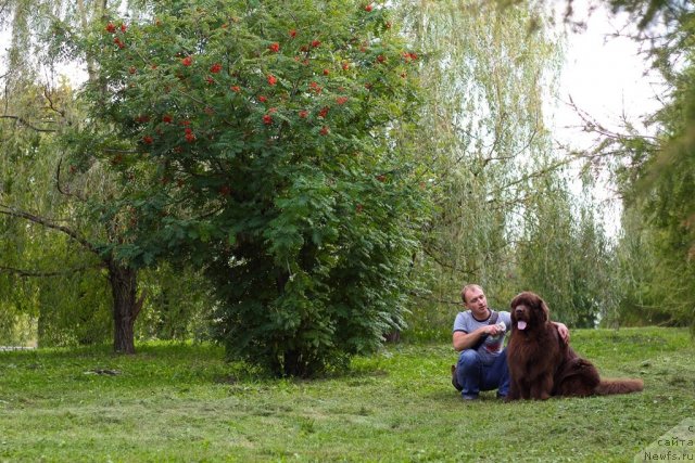 Фотография № 109004